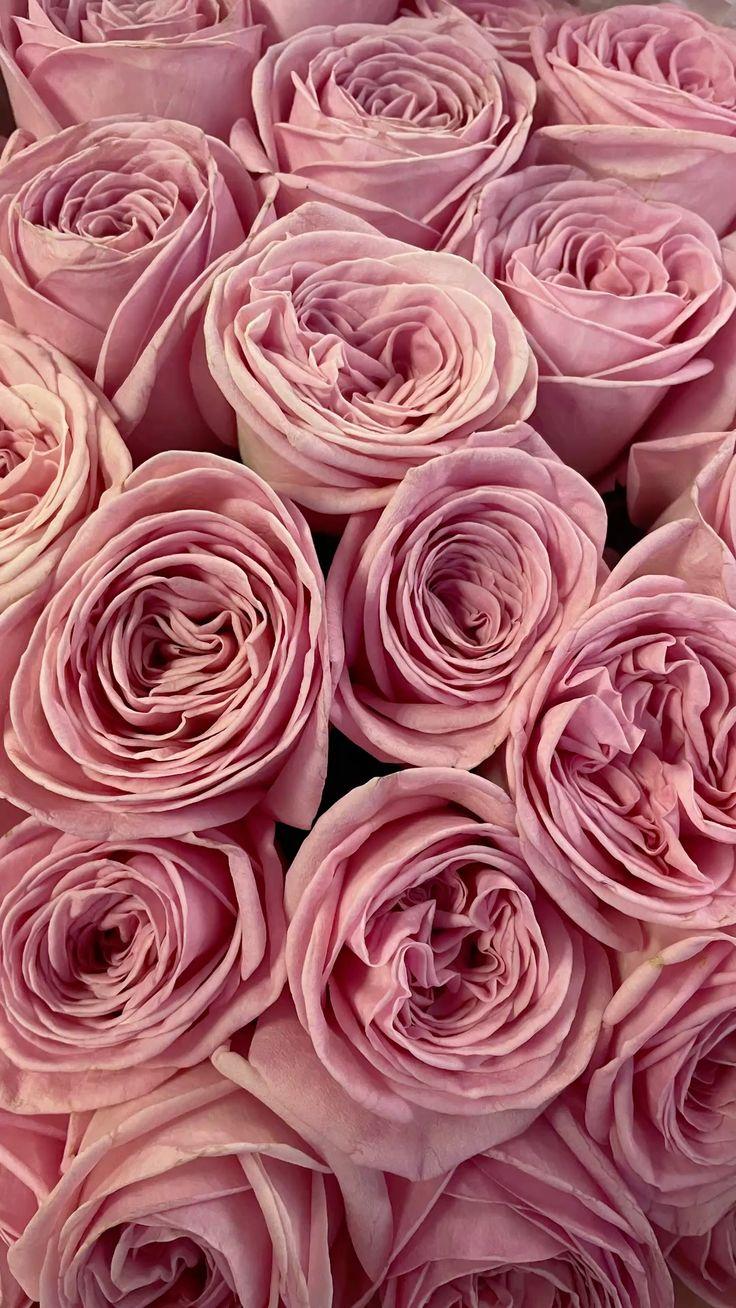 Whispers of Dawn Pastel Posy